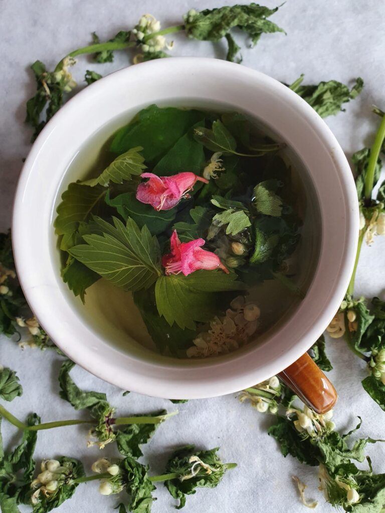 ziołowa herbatka Gabrysi