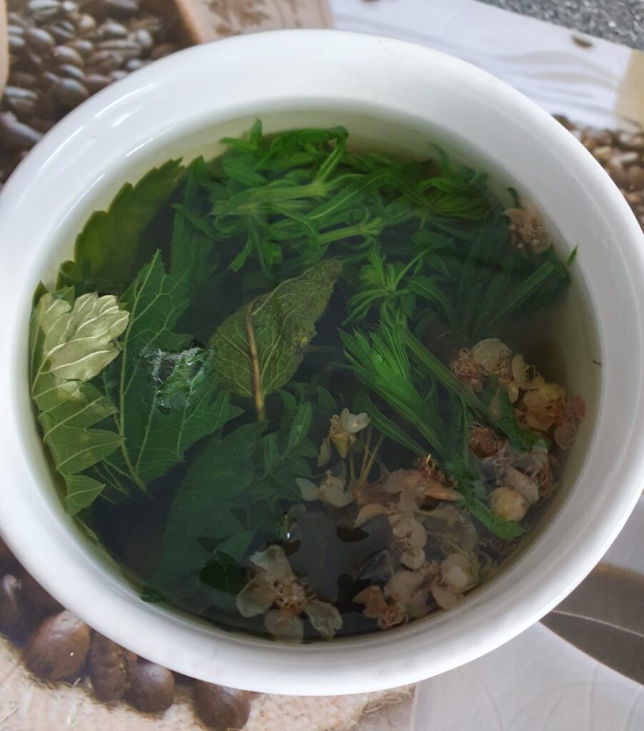 ziołowa herbatka Gabrysi