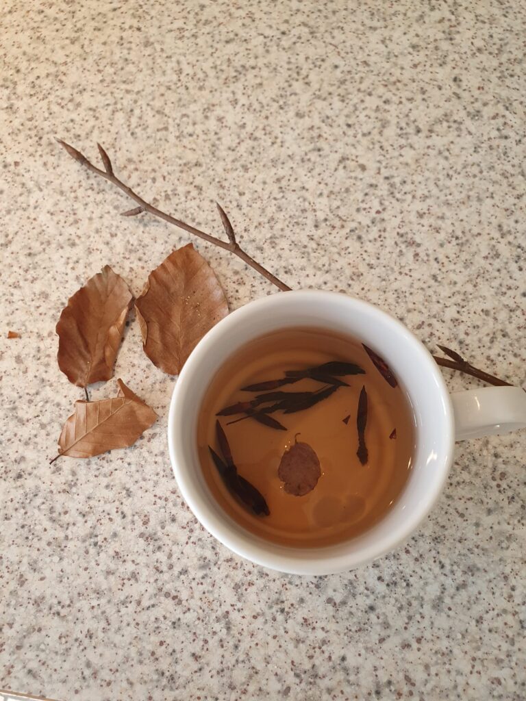 ziołowa herbatka Gabrysi