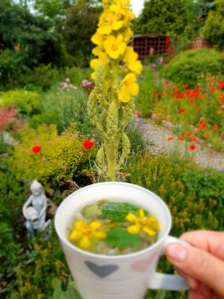 ziołowa herbatka Gabrysi