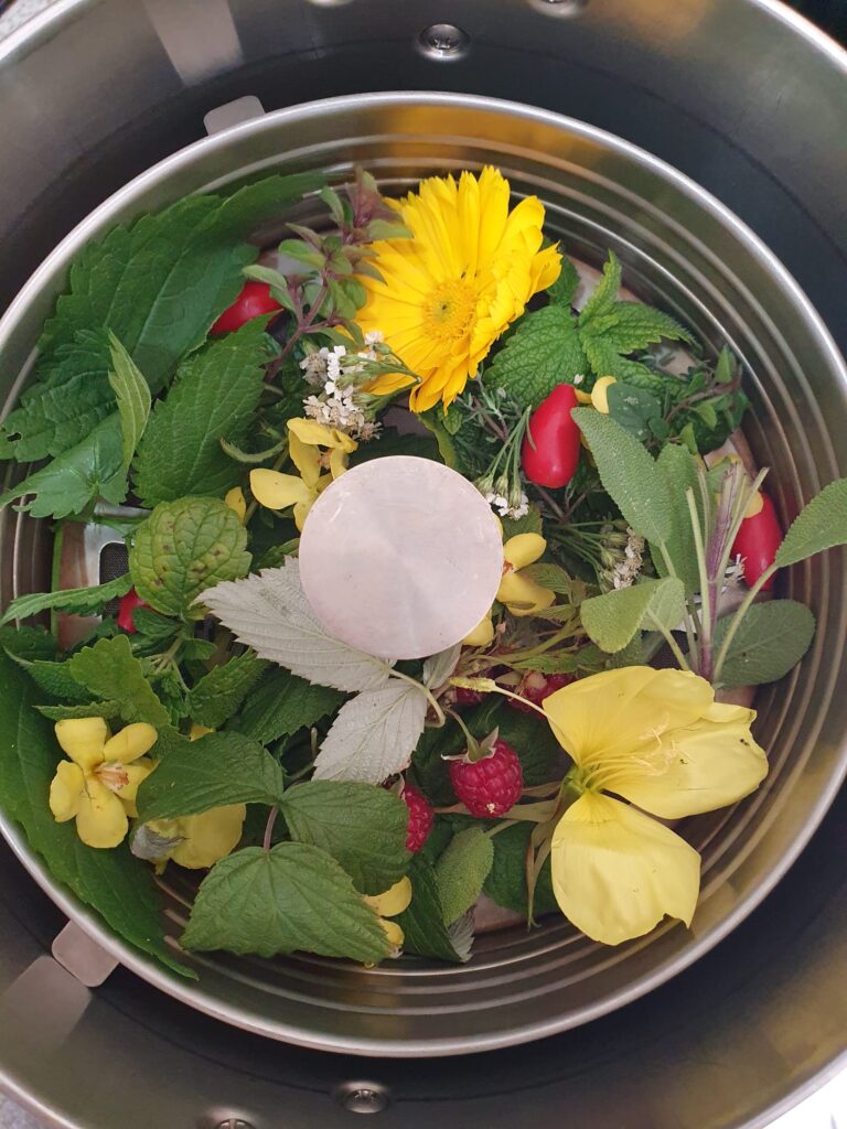 ziołowa herbatka Gabrysi