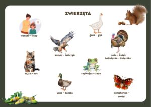 Boroszów słownik śląski wsi starych dębów