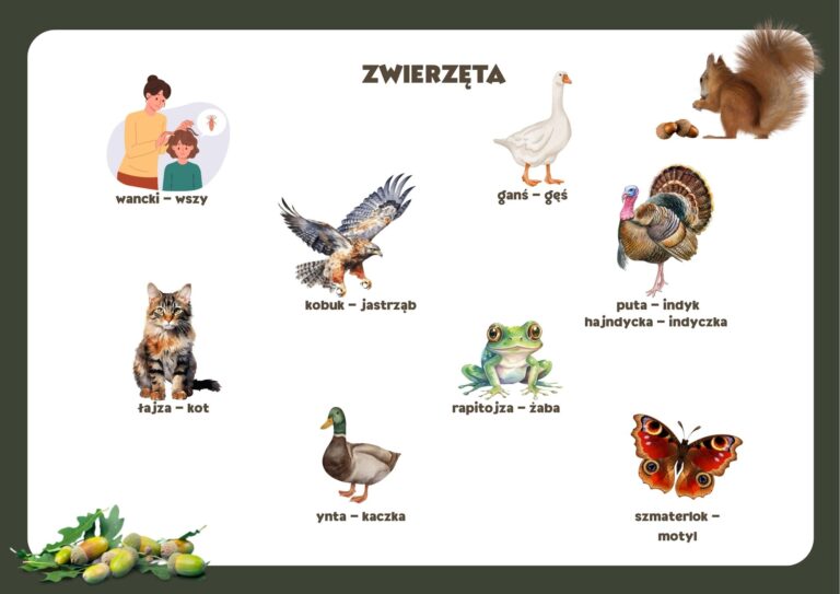 Boroszów słownik śląski wsi starych dębów