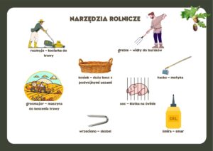 Boroszów słownik śląski wsi starych dębów