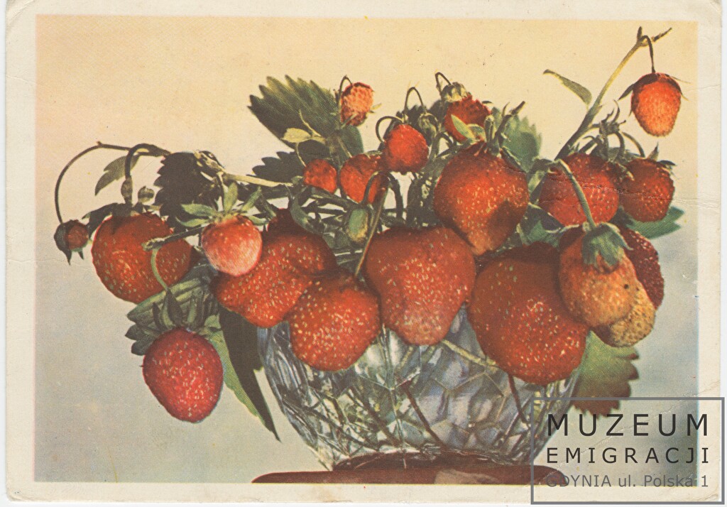 Pocztówka z truskawkami w kryształowej misce. - Muzeum Emigracji w Gdyni